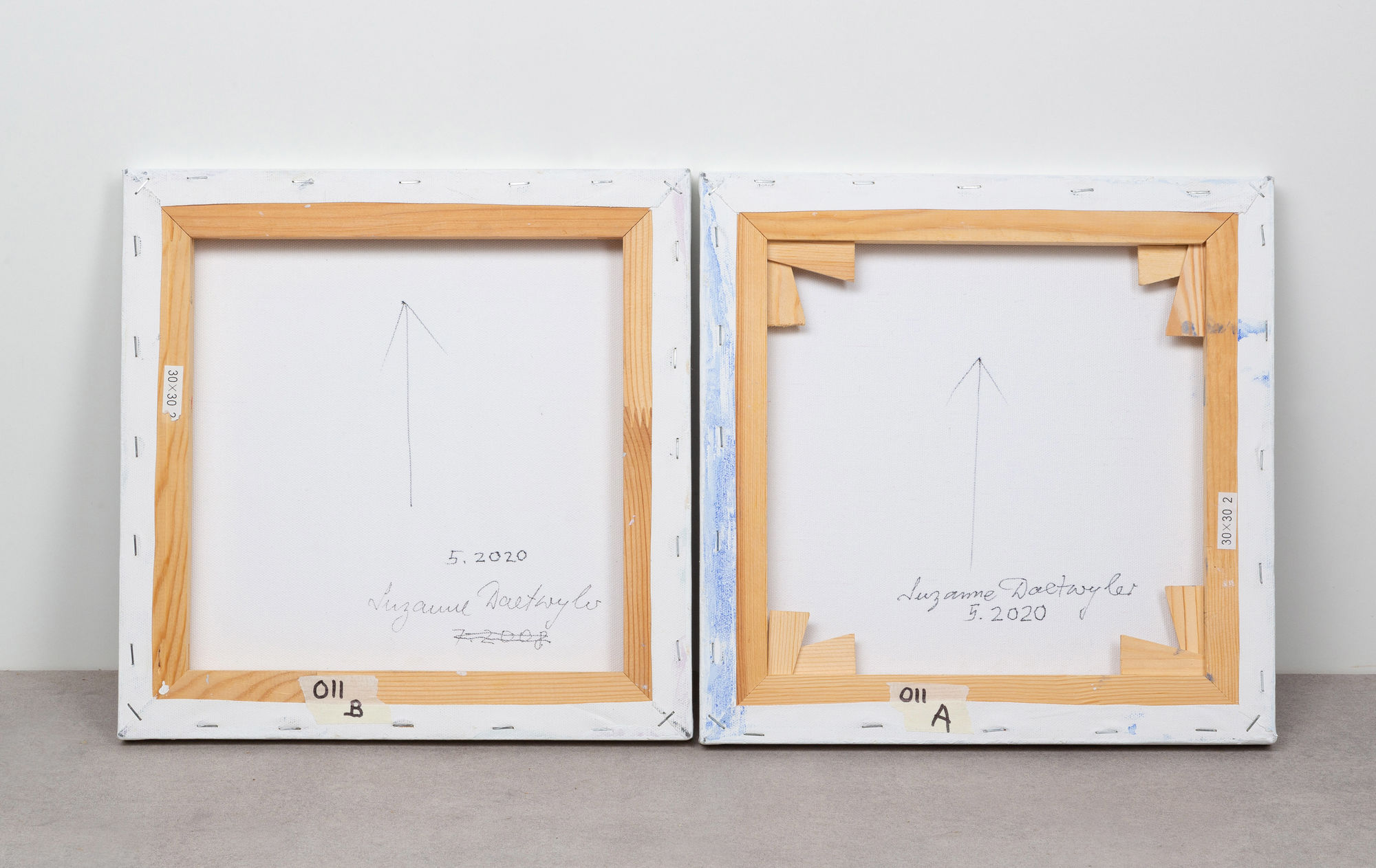 Suzanne Daetwyler Paintings