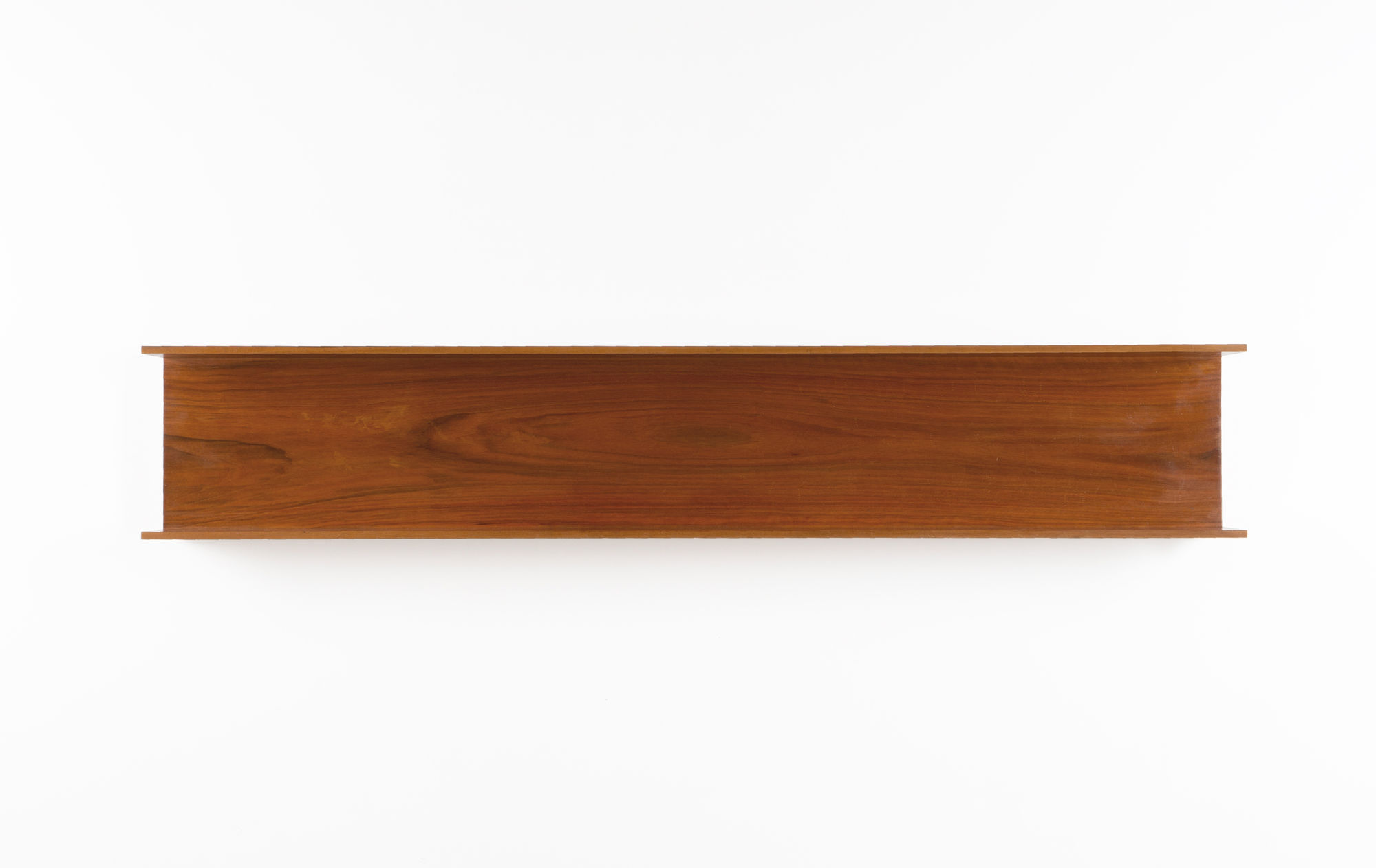 Walter Wirtz shelve
